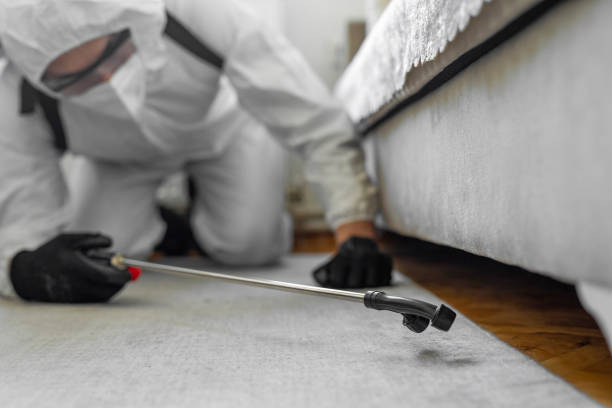 Professional Cockroach Control technician working in Alachua County County, FL